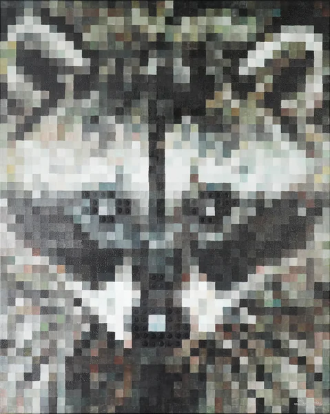 Rakun (Raccoon)