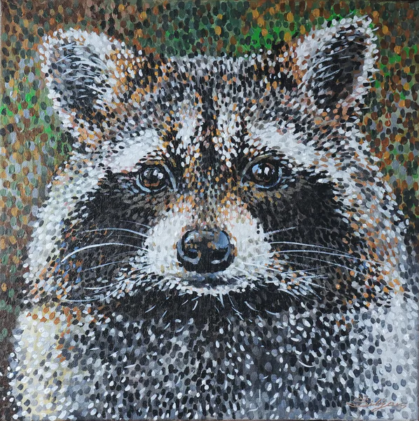 Rakun (Raccoon)